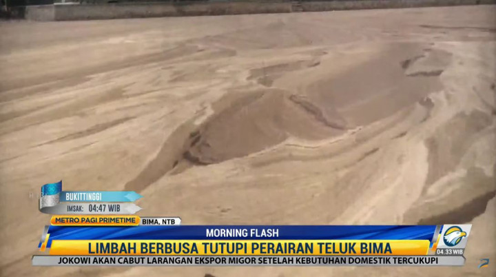 Teluk Bima Tercemar Limbah Berbusa Setebal 5 Cm