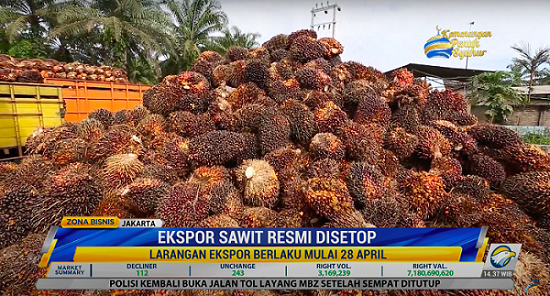 Ekspor Produk Sawit Disetop Demi Stabilkan Harga Minyak Goreng Curah