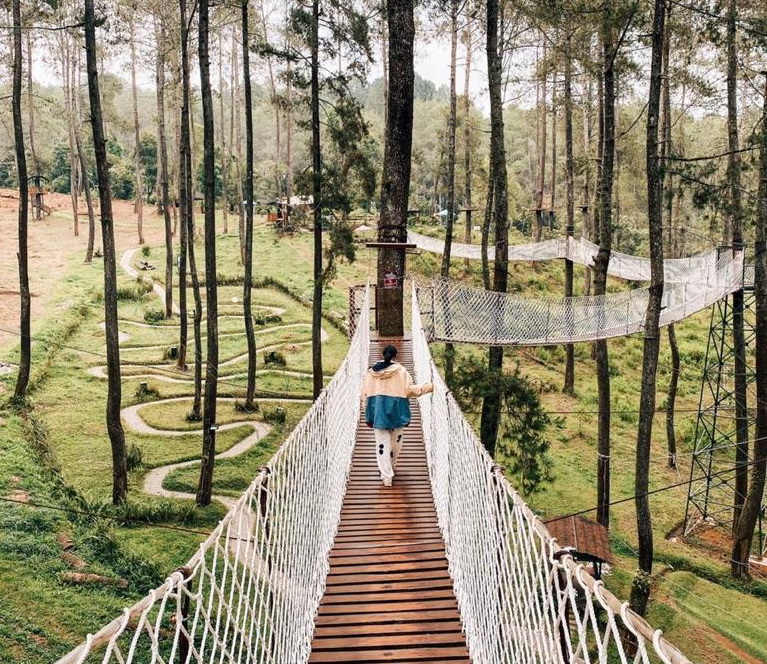 Orchid Forest Cikole (Foto: instagram)