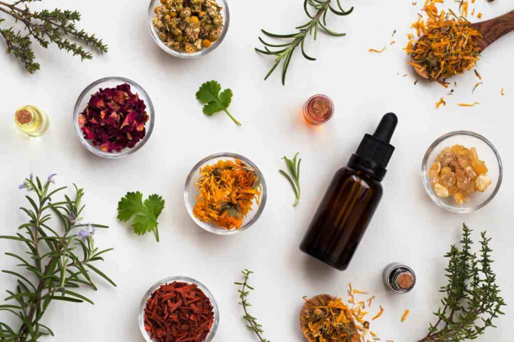 Ramuan Herbal Bantu Jaga Kondisi saat Mudik