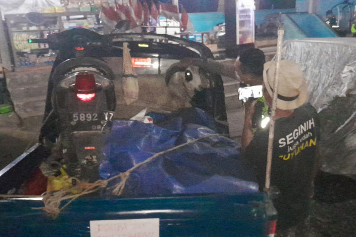 Takut Hewan Peliharaan Mati, Pemudik dari Bandung Ini Bawa Domba ke Ciamis
