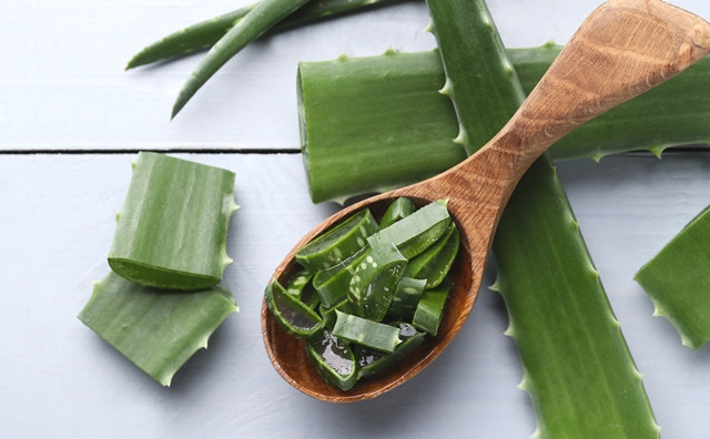 Tren Minum Jus Lidah Buaya di TikTok, Dokter pun Memperingatkan