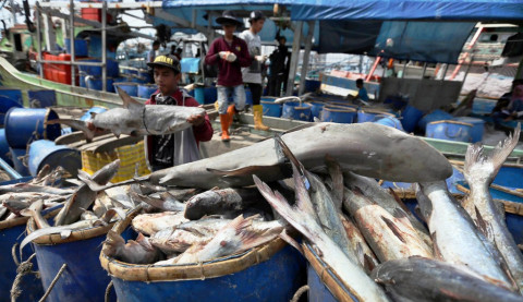 KKP Catat Neraca Perdagangan Produk Perikanan Surplus Rp20 Triliun