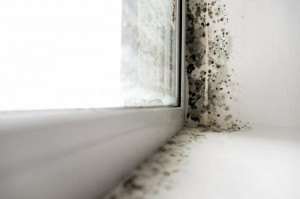 7 Cara Mudah Hilangkan Bau Apek di Rumah
