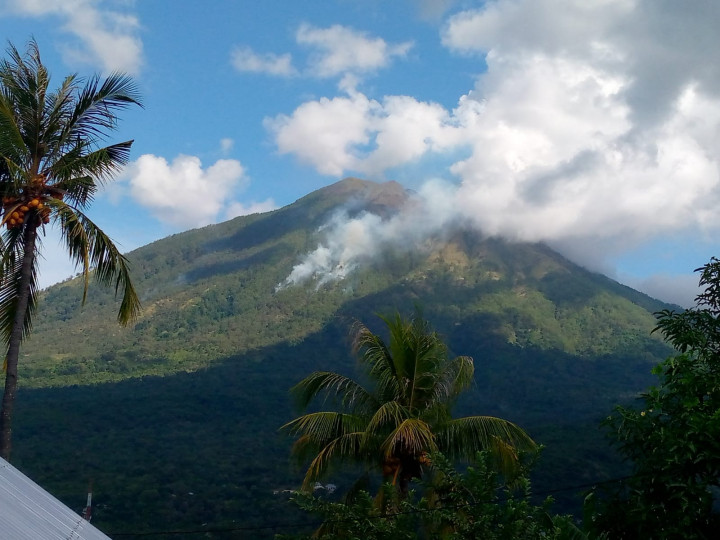 Hutan di Gunung Ile Boleng Pulau Adonara Kembali Terbakar
