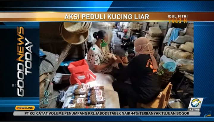 Aksi Peduli Kucing Liar Digaungkan di Solo