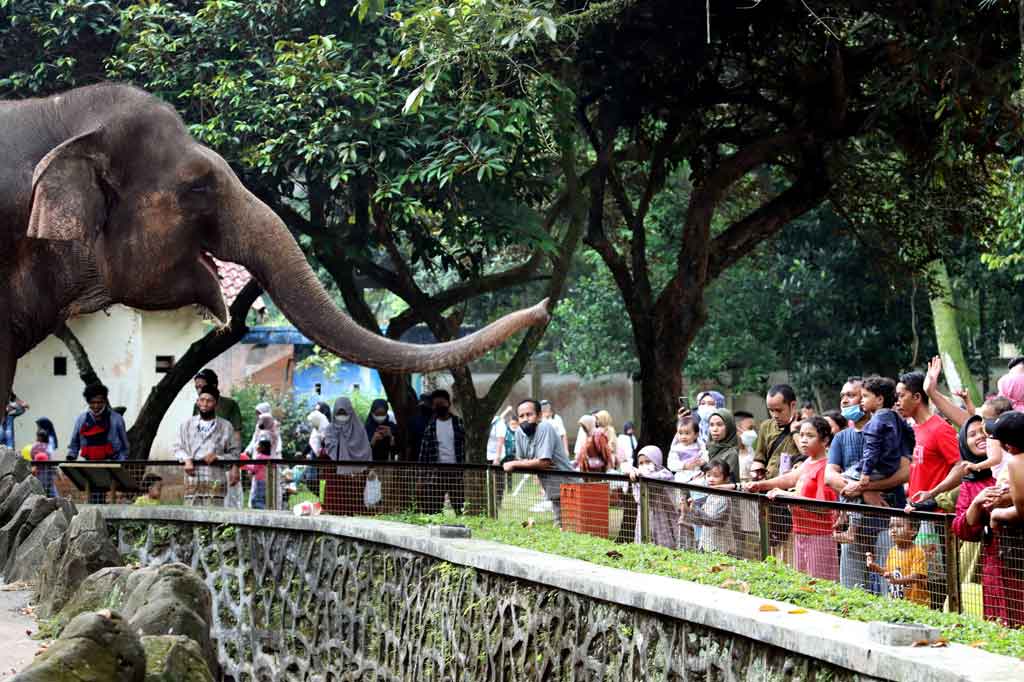 Masuk Ragunan wajib daftar online (Foto: MI/Adam Dwi)