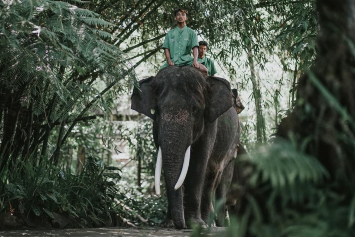 Bersafari Alam Liar dengan Ragam Fauna di Wildlife Park Lombok