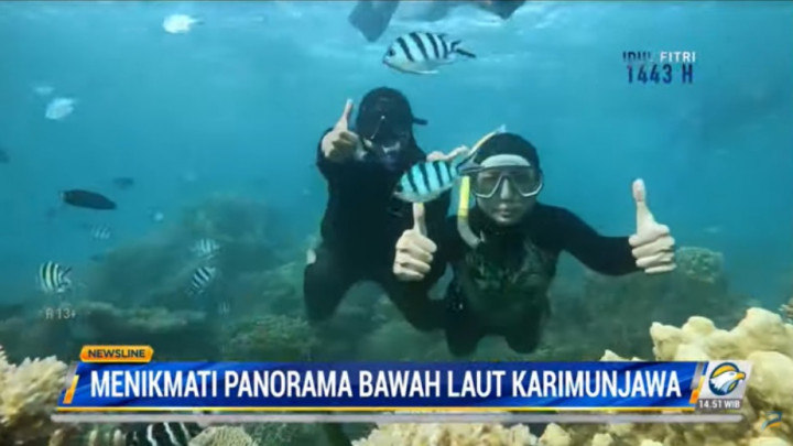 Wisata Snorkeling Karimunjawa nan Indah dan Terjangkau