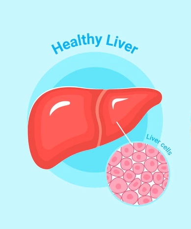 5 Jenis Makanan untuk Menunjang Kesehatan Hati, No 4 Favorit Kebanyakan Orang