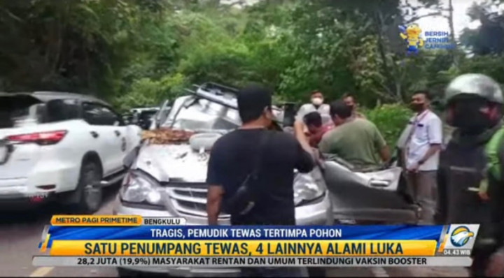 Batang Pohon Timpa Mobil Travel, Satu Pemudik Tewas