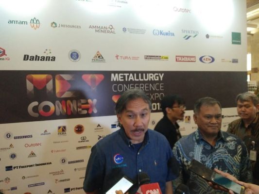 Direktur Jenderal Mineral dan Batu Bara (Dirjen Minerba) Ridwan Djamaluddin. Foto: MI/M Fauzi