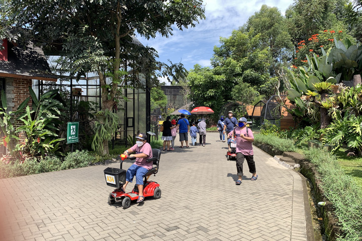 Serunya Liburan di Lembang Park Zoo
