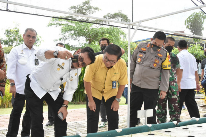 Mentan Sebut Sektor Pertanian Berhasil Tumbuh di Tengah Gelombang Covid-19