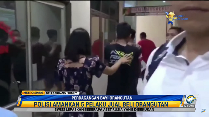 Polda Sumut Tangkap 5 Pelaku Jual Beli Orangutan