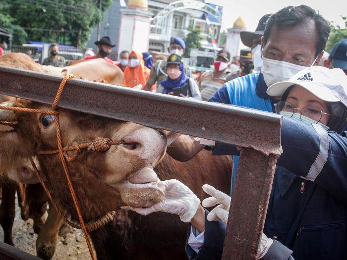 7 Pasar Hewan di Ciamis Ditutup Cegah PMK