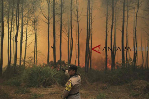 BTNGC Buat 14 Km Sekat Antisipasi Kebakaran Kawasan Ciremai