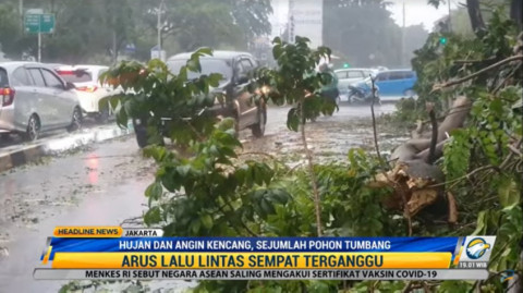 Hujan Deras Sebabkan Pohon Tumbang dan  Banjir di Jaksel