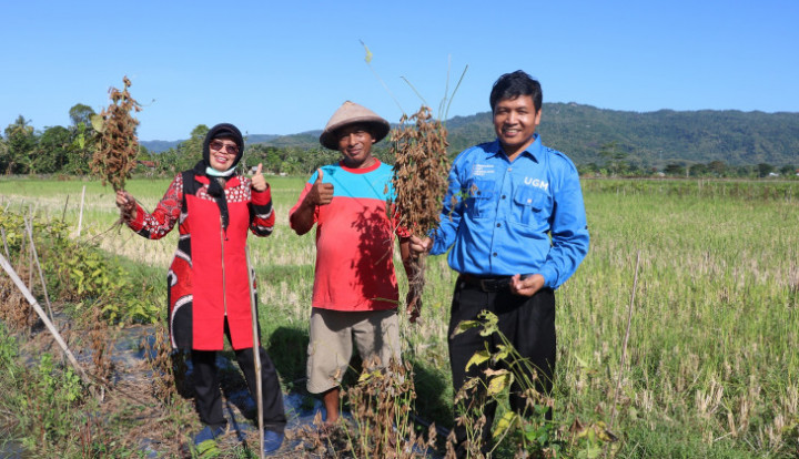 Riset UGM Kembangkan Varietas Baru Kedelai Hitam Mallika