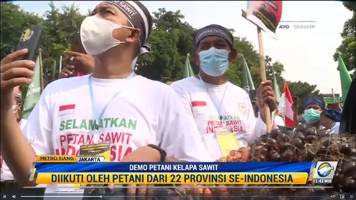 Petani Kelapa Sawit Tuntut Pemerintah Cabut Larangan Ekspor CPO