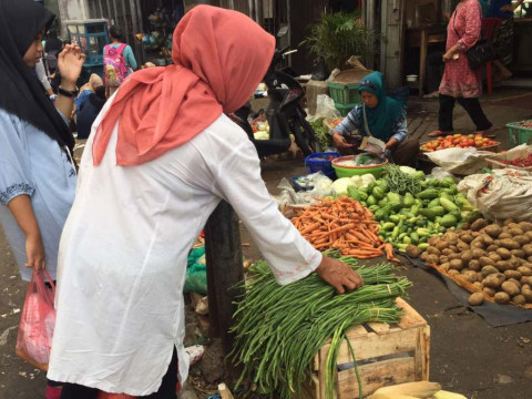Impor Sayuran Melonjak Lebih dari 100%, dari Tiongkok sampai Mesir