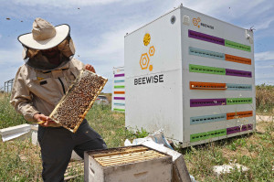 Perusahaan Ini Ciptakan Sarang Robotik Demi Selamatkan Populasi Lebah