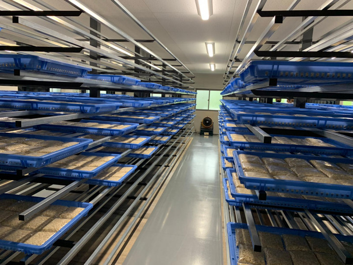 Mengenal Bioteknologi: Pengertian, Jenis, dan Contoh Penerapannya