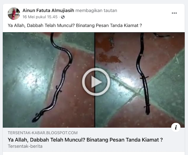 [Cek Fakta] Beredar Foto Hewan Misterius sebagai Tanda Datangnya Kiamat? Begini Faktanya