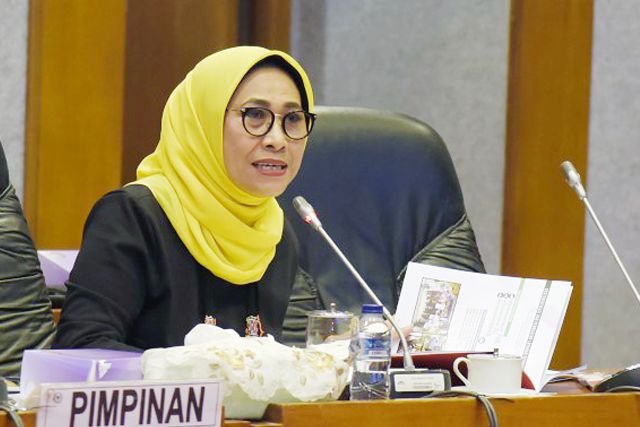 Wakil Ketua Komisi X DPR RI Hetifah Sjaifudian.