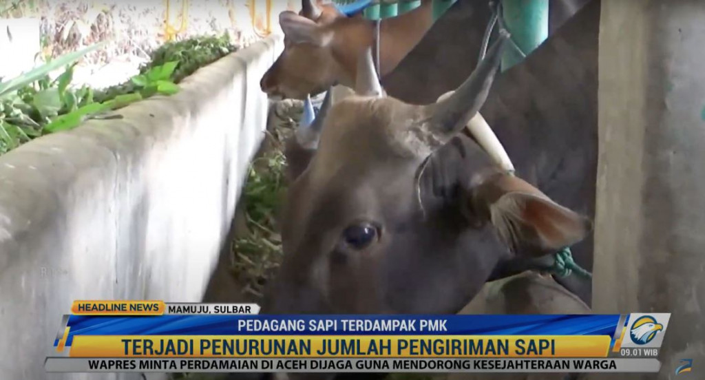 Tangkapan layar Metro TV