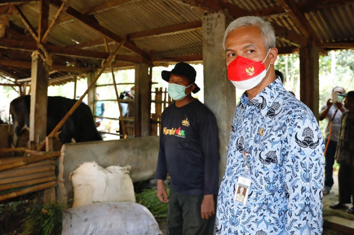 Tanggulangi PMK, Ganjar Pranowo Minta Warga Siaga