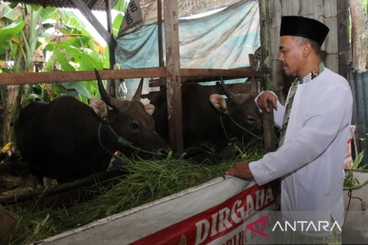 Omzet Penjual Daging di Pontianak Anjlok Imbas PMK