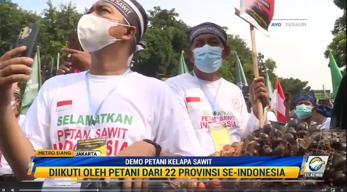 Petani Kelapa Sawit Tuntut Pemerintah Cabut Larangan Ekspor CPO