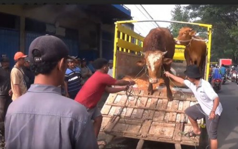 Pasar Ditutup, Pedagang Hewan di Malang Nekat Berjualan di Pinggir Jalan