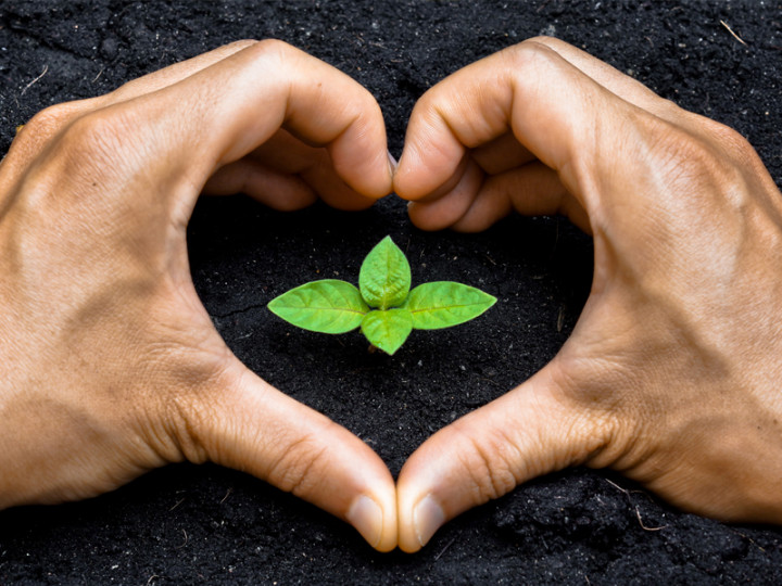 Indonesia, US Cooperate to Transform Forests into Carbon Sink