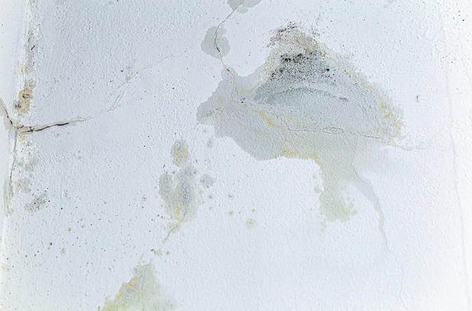 Begini Cara Mencegah Rembesan Air di Dinding Rumahmu