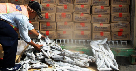 Bintan Butuh Tempat Pelelangan Ikan untuk Tingkatkan Pendapatan
