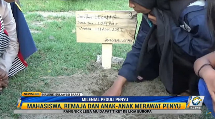 Kegiatan Keren Milenial dan Anak Peduli Penyu di Majene