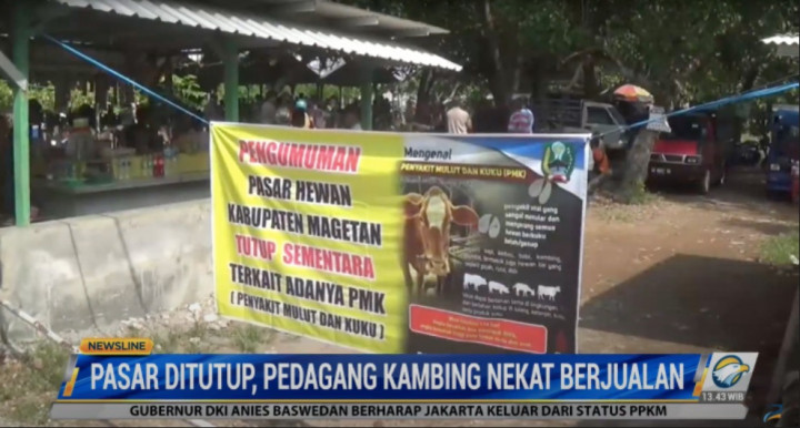 Pasar Hewan Magetan Ditutup, Pedagang Kambing Tetap Nekat Berjualan