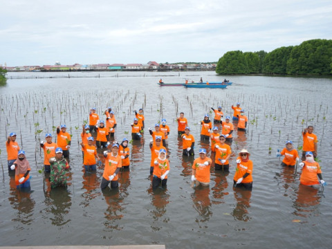 Dukung Pelestarian, PKT Tanam 1.500 Bibit Mangrove di Perairan Bontang