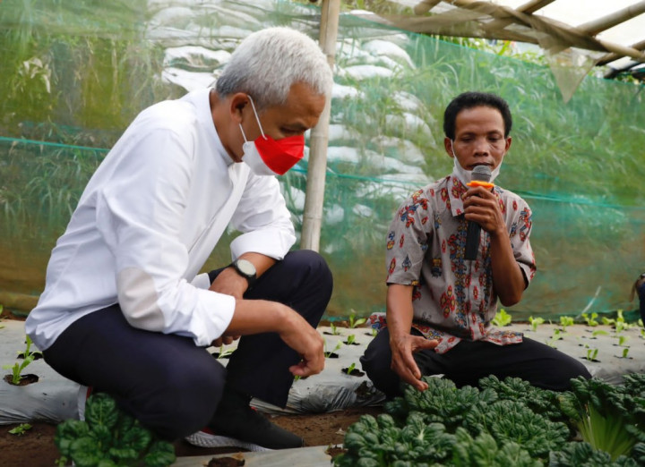 Petani Budidayakan Padi Jenis Srinuk, Ganjar Dukung Penuh