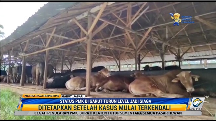 Mulai Terkendali, Status PMK di Garut Turun Jadi Siaga