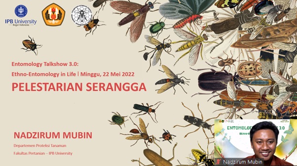 Dosen Muda IPB Bagikan Manfaat dan Upaya Pelestarian Serangga