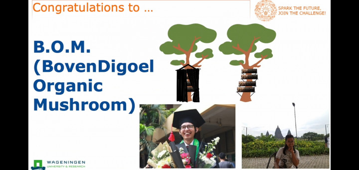 Budidaya Jamur di Papua, Mahasiswa dan Alumni UKDW Juara Nature Based Solution Challenge
