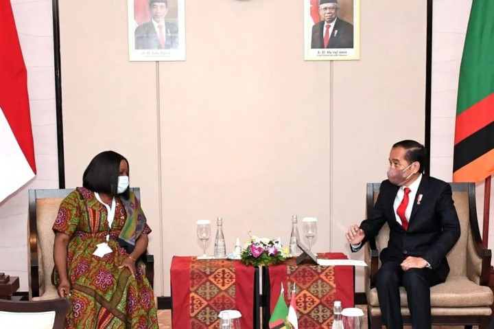 Jokowi Bertemu Wapres Zambia Bahas Penguatan Kerja Sama Ekonomi