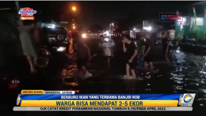Warga Antusias Berburu Ikan yang Terbawa Banjir Rob