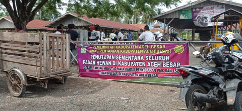 Kasus PMK Meningkat, Pasar Hewan di Aceh Besar Ditutup