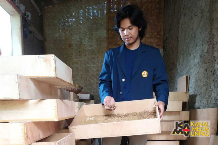 Beternak Ulat Jerman, Mahasiswa Unpad Ini Raup Omzet Jutaan Rupiah