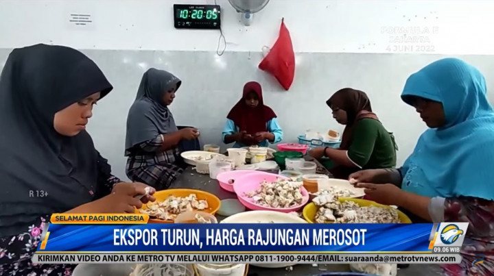 Permintaan Turun, Harga Komoditas Ekspor Kepiting Rajungan Merosot Jauh