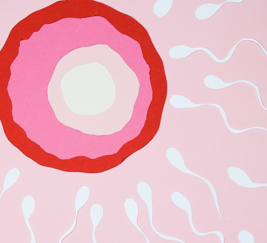 Apakah menelan sperma bisa hamil? Ini jawaban dari ahli. (Foto: Ilustrasi/Pexels.com)